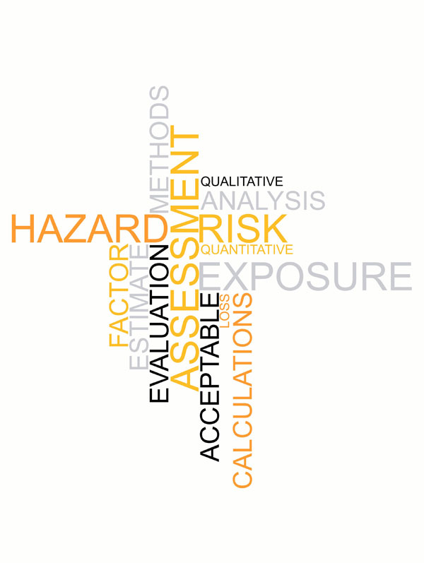 Risk Assessment
